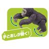 TAKARA TOMY """Аня AC-03 Горилла""" (ребенок)"""Животное Динозавр Реалистичная Движущаяся Фигурка Игрушка для Возраста 3+ Лет, Соответствует Стандартам Безопасности Игрушек, Знак ST, ANIA"""