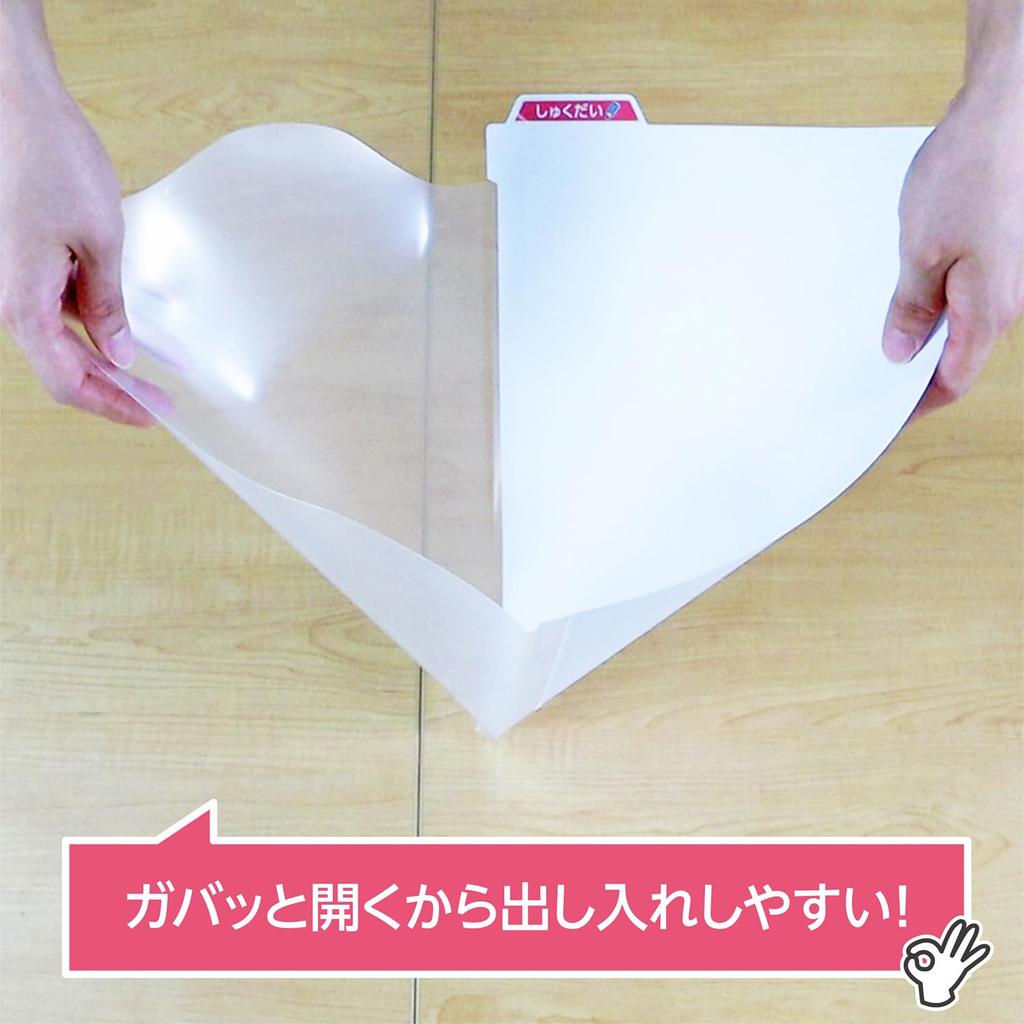 Kutsuwa Take-Home Print & Document File Case Set