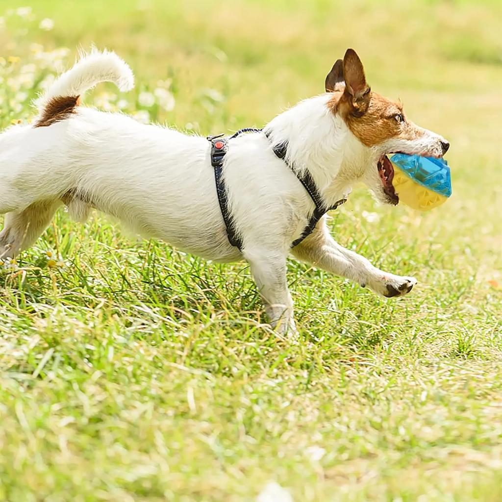 Летние охлаждающие игрушки для собак Игрушка для питомца Молярная кость, наполненная водой Охлаждающие игрушки для собак Замороженная молярная игрушка Устойчивые к укусам товары для питомцев
