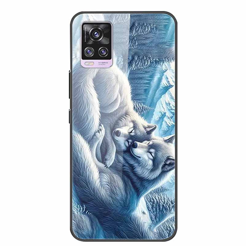 6.44" Tempered Glass Case For Vivo V20 Pro Case V 20 Pro Soft Bumper Hard Back Cover For Vivo V20 Pro 2020 Phone Case Coque Para