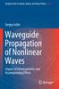 Книга Waveguide Propagation of Nonlinear Waves : Impact of Inhomogeneity and Accompanying Effects : 109
