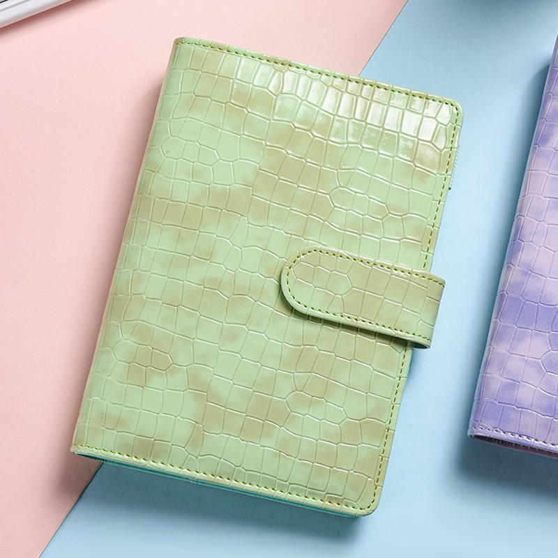 Папка-регистратор с рисунком крокодила, формат А6, с конвертами для денег, небольшой планировщик бюджета для организации сбережений