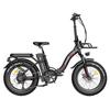 FAFREES F20 Max Electric Bike 20*4.0 Fat Inch Tire Folding Frame E-bike With Removable 22.5Ah Lithium Battery - Black