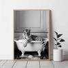 Animals In Bubbles Bathtub Modern Cute Highland Cow Koala Posters and Prints Canvas Printing Wall Art Picture for Bathroom Decor