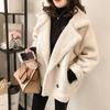 Lamb Wool Coat Women's Autumn and Winter New Granular Lamb Wool Thickened Fur Integrated Small Locomotive Suit