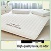 Nu Feng 3D Latex Memory Foam Mattress