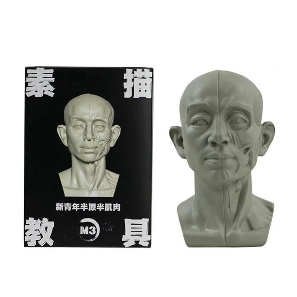 Натюрморт Орнамент Плоская Модель Головы Смола Эскиз Живопись Скульптура для Начинающих Художников