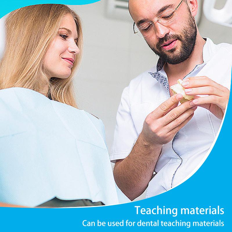 Dental Tooth Models for Patients with Oral Defects, Dental Supplies and Accessories To Repair Bad Teeth and Missing Teeth