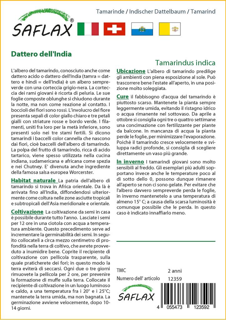 SAFLAX Подарочный набор - Тамаринд - 4 семени - С подарочной коробкой, карточкой, этикеткой и субстратом для горшков - Tamarindus indica