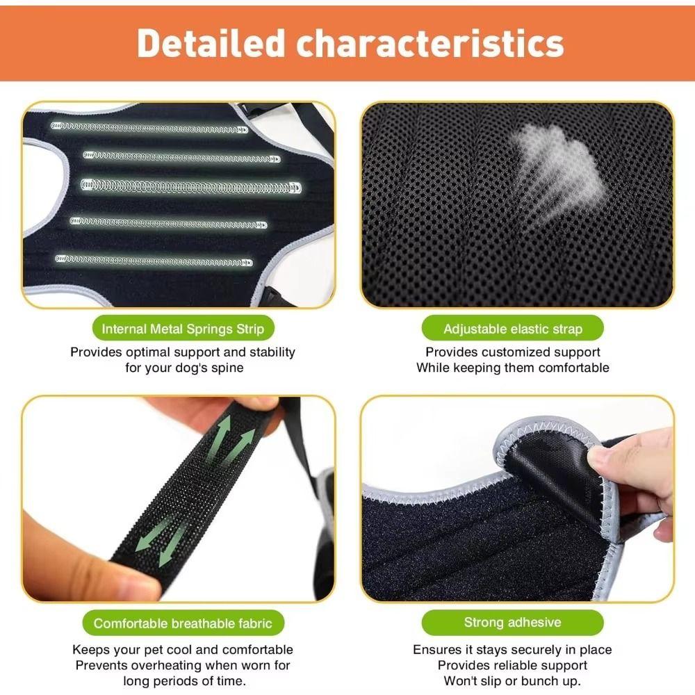 Adjustable Pet Spinal Brace Vest Breathable Dog Support Harness Dog Back Brace Travel Use