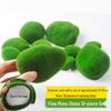 DIY Bionic Artificial Green Moss for Landscaping and Bonsai Decor