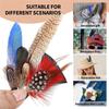 Premium-Hat Natural Feathers 12PCS Colorful Real Feathers