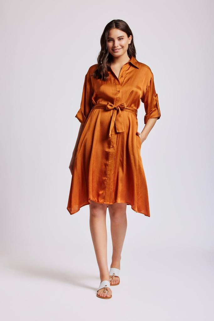 Iconique Button Down Beach Shirt Dress (86936)