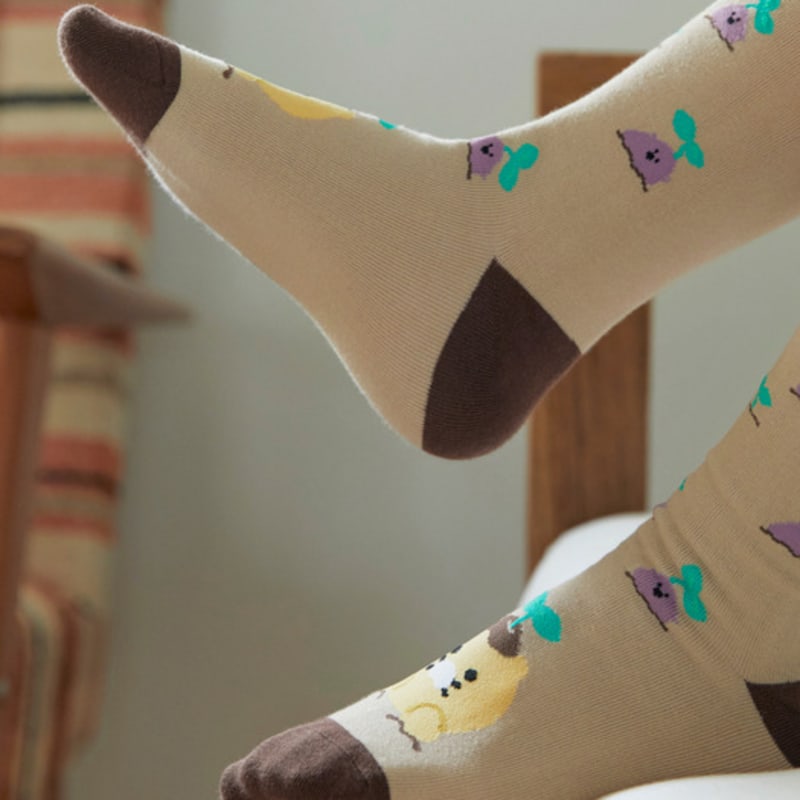 KAKAO FRIENDS Daily Socks Goguma_Chunshik