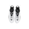 Мужские кроссовки Air Jordan 6 Retro Reverse Oreo белые черные CT8529-112