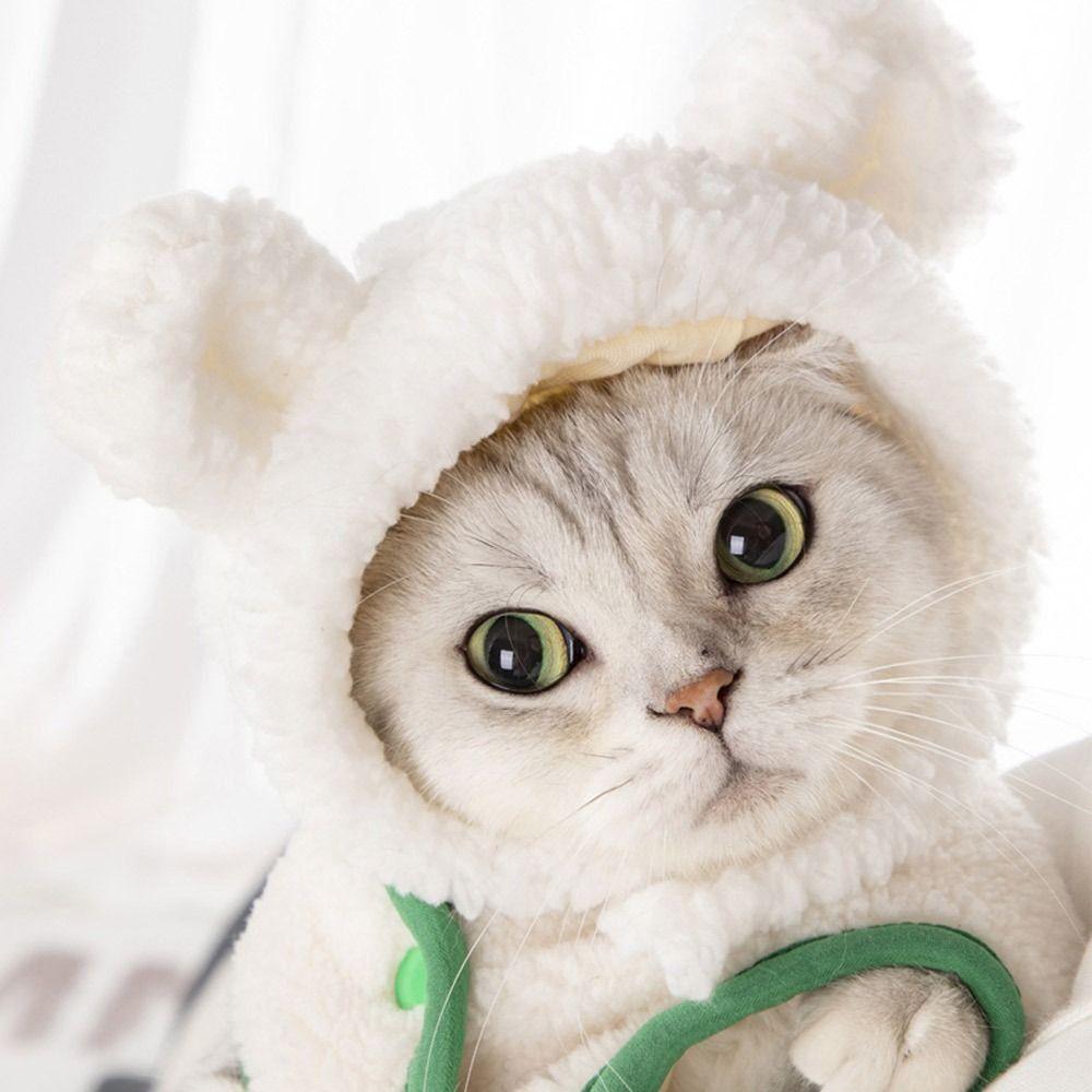 Short Plush Pet Headgear Pet Accessories Puppy Cap Cute Cat Hat