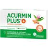 Celavent Accumin Plus Curcumin 60 Tablets, 2 Bundles, Natural Fat-soluble Vitamin Turmeric, Parents and Grandmothers Birthday, 60 Tablets, 1 Unit