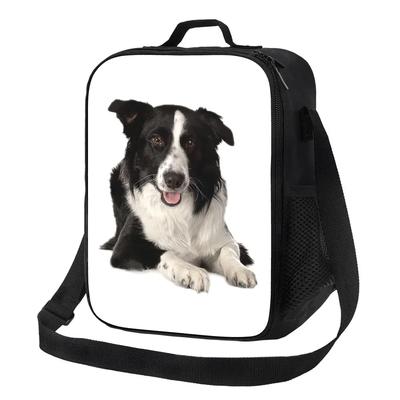 Сумка-тоут для обеда Border Collie для женщин, домашних животных, собак, подарок, многоразовый охладитель, термоконтейнер для еды, ланч-бокс для работы, школы, путешествий