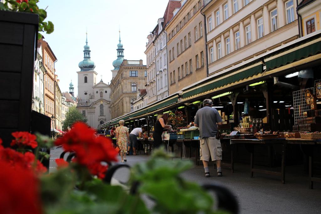 Широкоугольный объектив с фиксированным фокусным расстоянием Canon STM EF-S24mm F2.8, совместимый с APS-C, EF-S2428STM