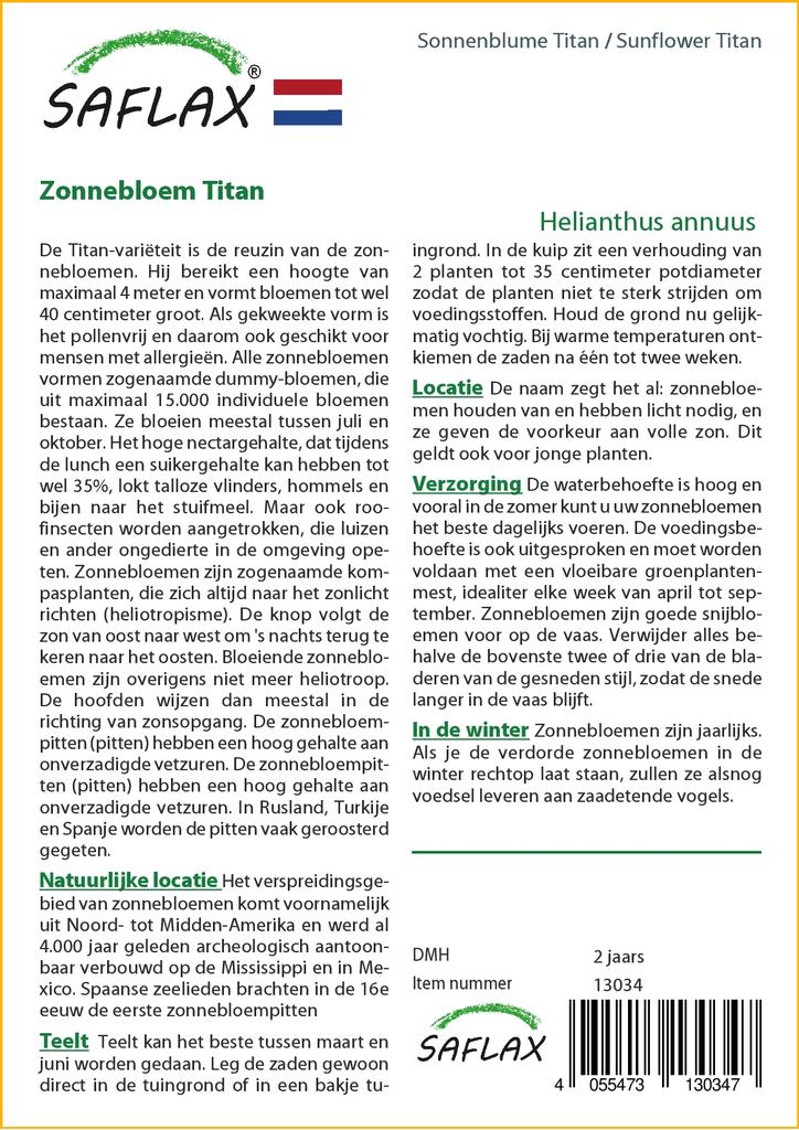 SAFLAX Подсолнечник Титан - 20 семян - Helianthus annuus