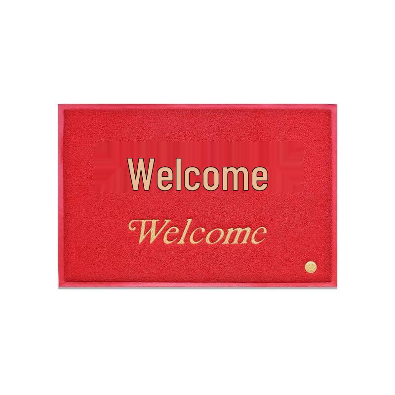 Kexinju Anti-Slip Entryway Doormat