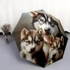 Husky pattern, automatic folding umbrella, portable and foldable design, 8 ribs, a Christmas or birthday gift.