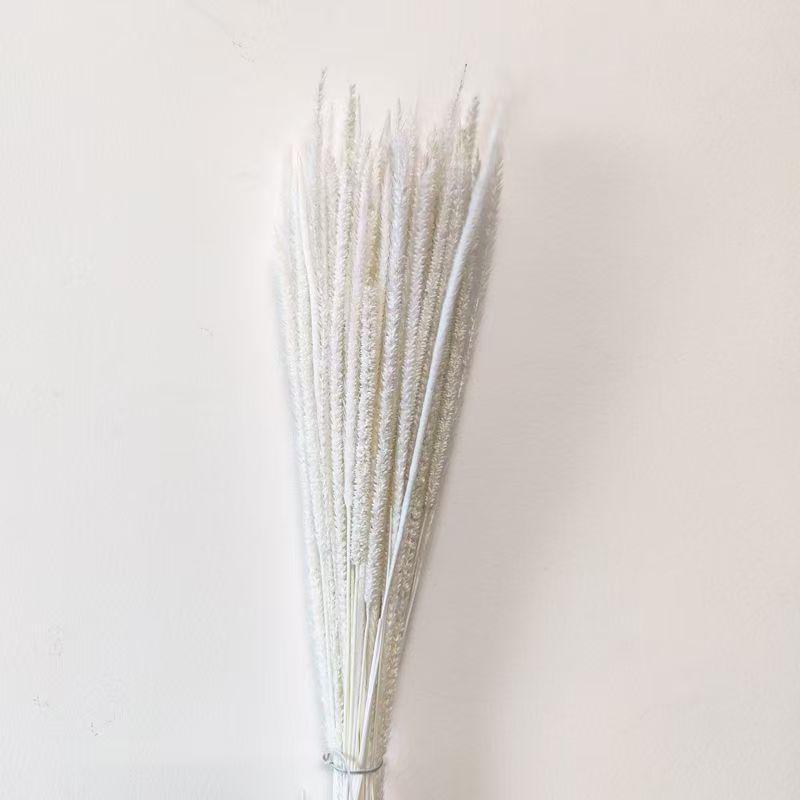 Preserved Rabbit Tail Grass Bouquet - DIY Dried Flower Decoration with Pampas Grass