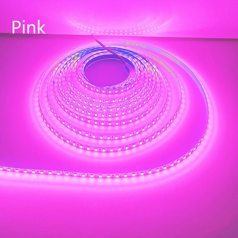 5M 600LEDs LED Strip 2835 DC12V 24V 120LEDs/m Home Lamp Strip Red I Blue Green Yellow Pink Flexible And Cuttable Soft Lamp Bar