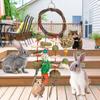 Grinding Guinea Pigs Hanging Bunny Cage Accessories Rabbit Treats Buuny Chew Toy Molar Rattan Ring