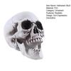Модель человеческого черепа в натуральную величину, декор на Хэллоуин, скелет, череп, реалистичный человеческий череп для взрослых, модель кости, кладбище, открытый декор