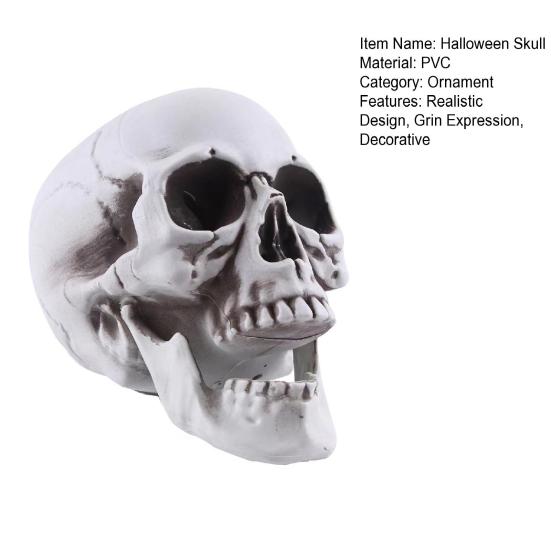 Модель человеческого черепа в натуральную величину, декор на Хэллоуин, скелет, череп, реалистичный человеческий череп для взрослых, модель кости, кладбище, открытый декор