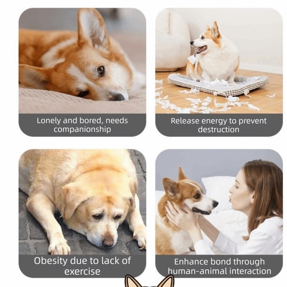 Bite Resistant Smart Pet Toy Ball USB Charging Random Path Automatic Moving Ball Electronic 3 Modes Interactive Dog Toy Ball