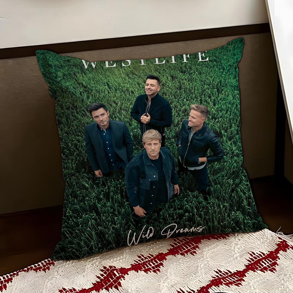 WWestlife The Twenty Tour Cushion Cover Reversible Soft Durable Pillow Cover Home Car MultiScene Use for Daily Comfort