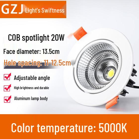 Recessed 20W Spotlight Downlight for Clothing Stores, 15-30W Commercial Ceiling Light