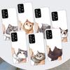 Kiss My Lovely Cat Kitten Phone Case For Samsung Galaxy A53 A52 A73 A72 A12 5G A13 A22 A23 A32 A33 A02S A03S A42 A43 A50S Coque