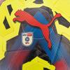 Puma Orbita 6 EFL Football