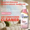 500ml Air Conditioner Cleaner Strong Cleaning Removes Stains And Odor Fast Decomposition,Home & Car AC System Cleaner,No Residue