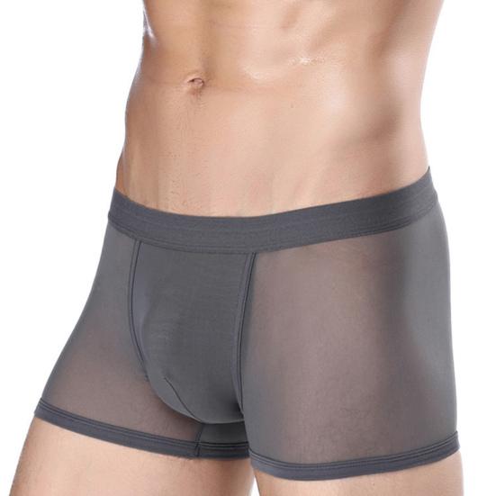Men Boxer Underwear Mid-rise Perspective Mesh Yarn Sexy Shorts Panties Solid Color Hollow Panties Daily Wear