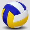 Volleyball Professional Competition Volleyball Size 5 for Beach Outdoor Indoor