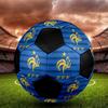 SIZE 5 French Football Federation Soccer Ball Colorful All Ages Machine Stitched PVC Competition Ready Durable High-Bounce