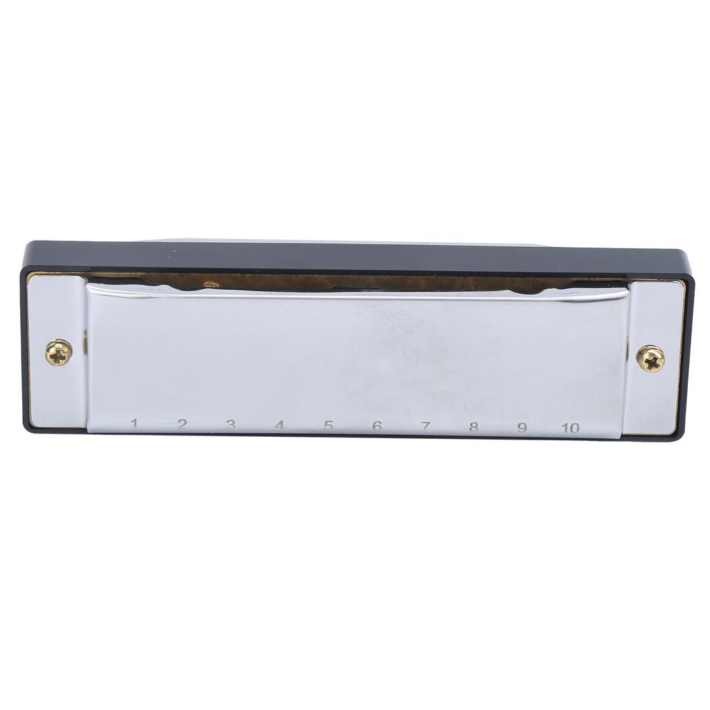 Harmonica 10 Hole 20 Tone G Key Playing Mouth Organ Wind Musical Instrument with Box ClothSilver