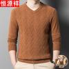 Men's 100% Wool V-Neck Sweater