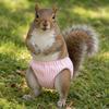 Elasticity Pet Menstruation Diaper Breathable Small Pet Diapers  For Guinea Pigs, Squirrels
