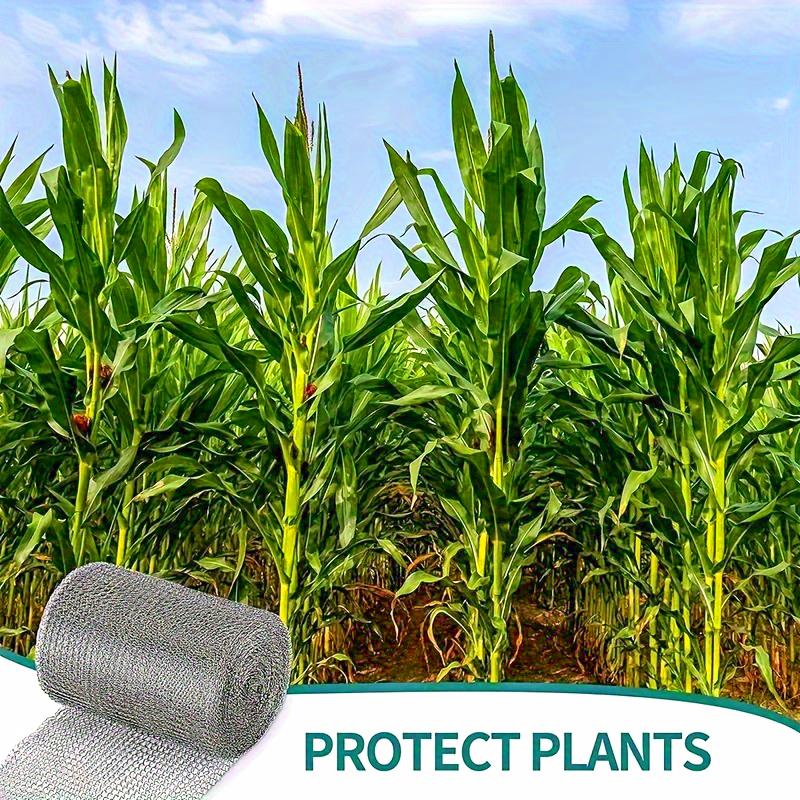 1 рулон металлической сетки бережно удаляет стойкие загрязнения