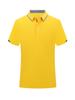 Custom Silk Cotton Short-Sleeve Polo Team Shirt with Logo Printing