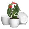 Flower Pot with Saucer Plastic Plant Pot with Drainage Holes Modern Decorative Planter for Indoor Outdoor Plants Garden House Plants