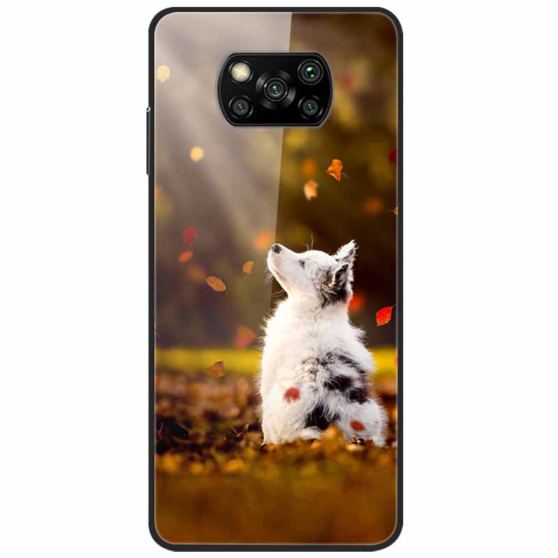 For Poco X3 Pro Case Fashion Cute Tempered Glass Luxury Coque Covers for Xiaomi Poco X3 NFC Cases PocoX3 X 3 Bumper Protector