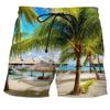 Men Shorts Summer 3D Printed Casual Ordinary Youth Beach Short Pants Spring Little Stretch Short Trousers