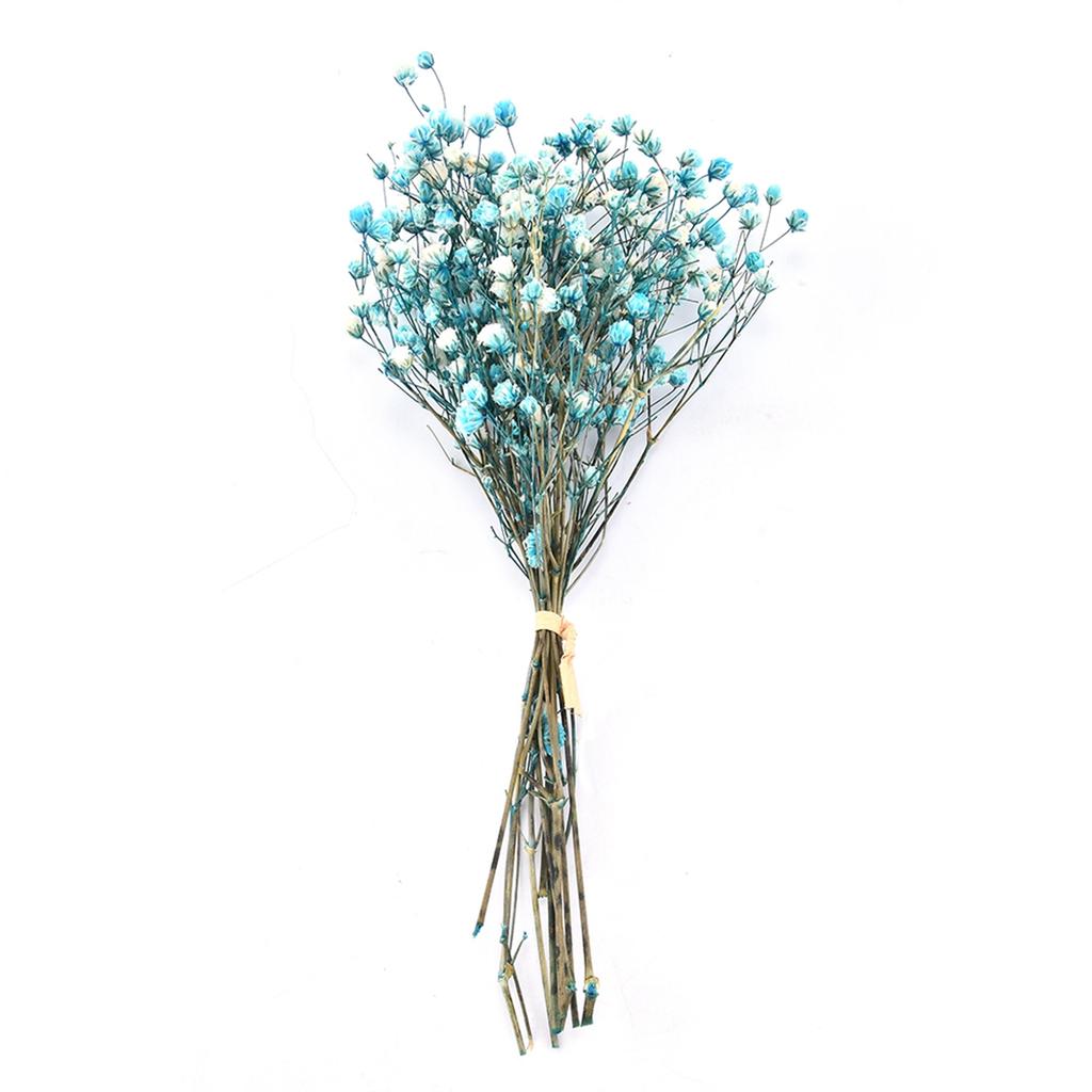 Сделай сам Вечеринка Натуральный Маленький Мини Прессованный Букет из Гипсофилы Сухоцветы Сухой Цветок
