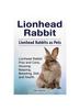 Книга Lionhead Rabbit. Lionhead Rabbits As Pets. Lionhead Rabbit Book for Pros and Cons, Housing, Keeping, Breeding, Diet and Health.